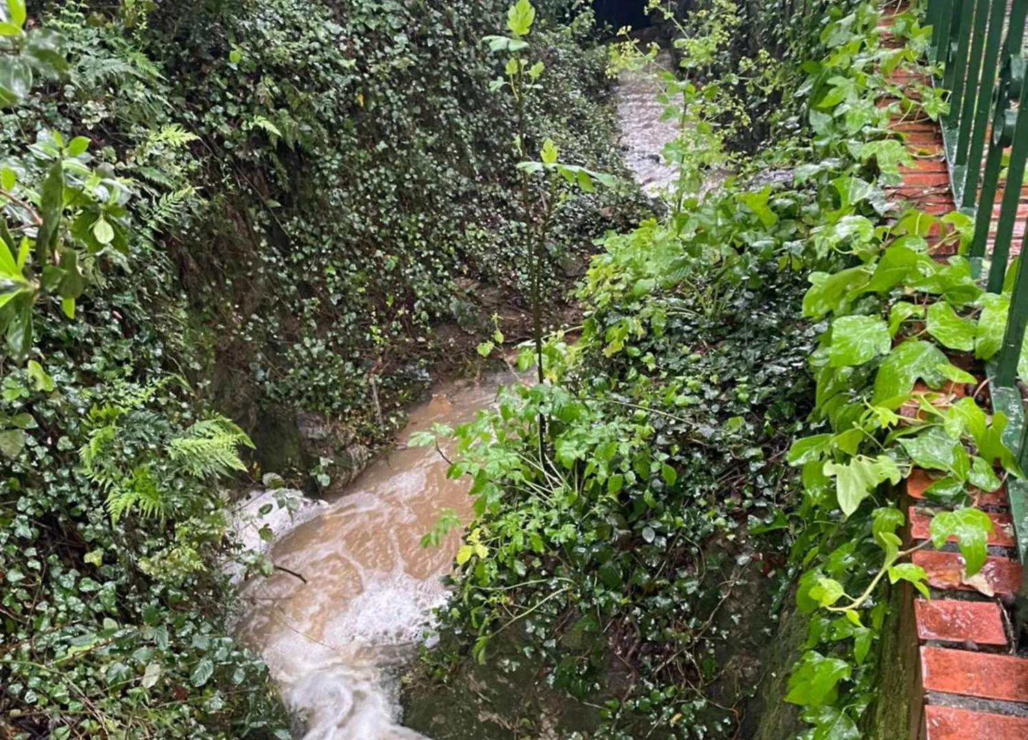 Сasa de vacaciones Alojamiento La Casa Del Pintor Almonaster la Real