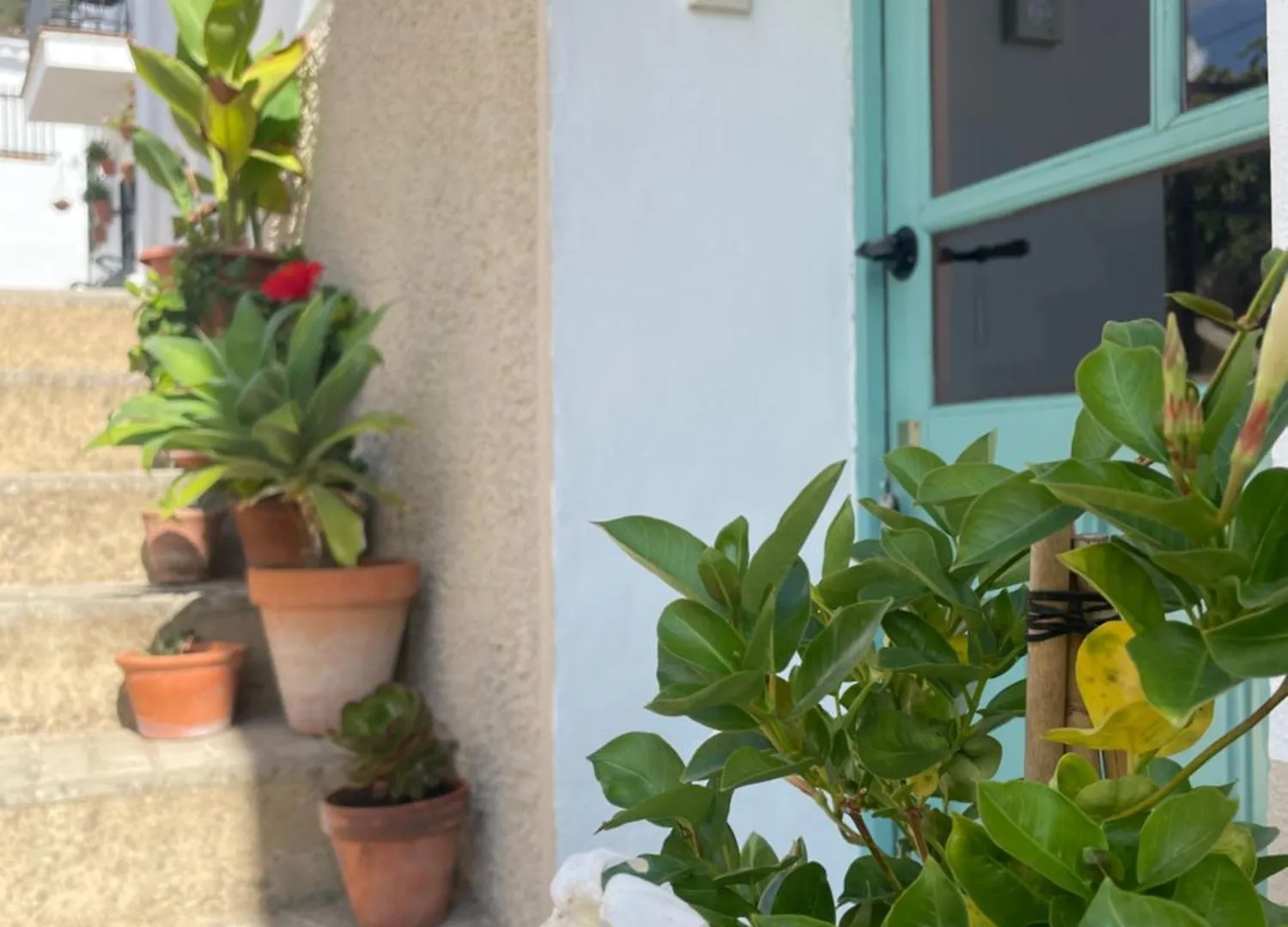 Alojamiento La Casa Del Pintor Almonaster la Real Holiday home